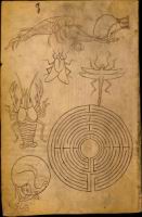 Folio 14 - Planche naturaliste - Labyrinthe